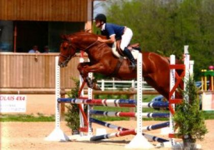 une competition quil y avais au centre equestre la licorne