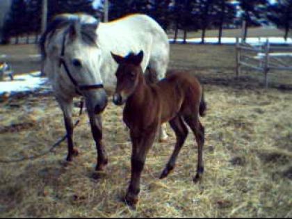 Kalamitey avec maman Frosty
