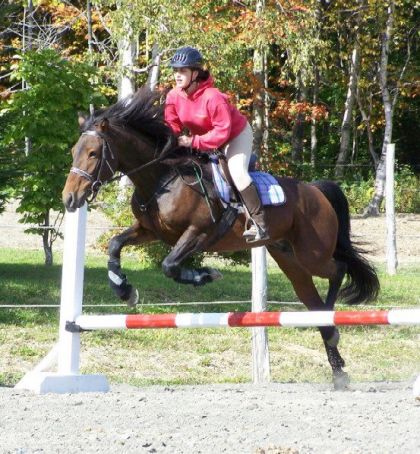 Cavalière et jument en saut