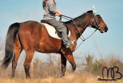 PHOTOSHOOT AVEC MAUDE ET SON CHEVAL 2 AVRIL