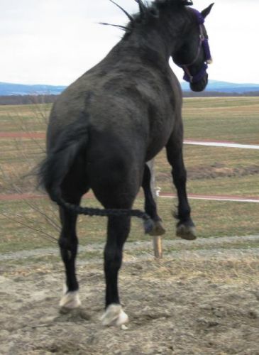 Ouin Tu Lache Ton Fou Mon Gros Tu Va Etre Bruler Raide Lolll !!!