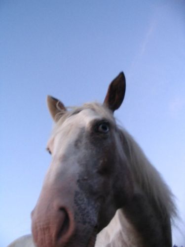 photo drole de Stacy ! :) hihihihi