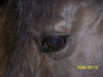 oeil de kate :P