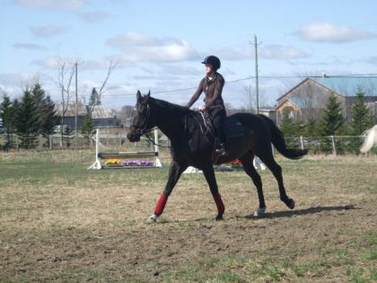 Moi et Mook au galop lors de mon cours du 11 avril 2010 ( Merci...