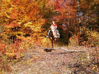 Hihi..Un très vieux souvenir d'automne! :P Ma cousine et Blondy!