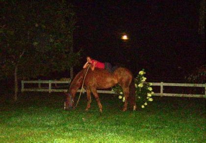 La grosse vie sale sous la lune...!  LOL .
