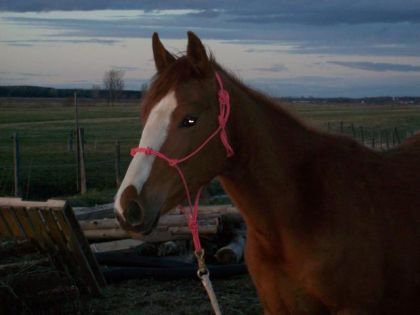Ma poulicheee :)