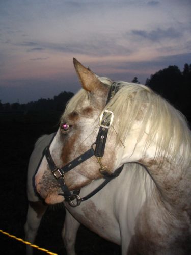 ma belle tite Stay! :)