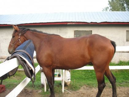 Mia 2008 ou 2009