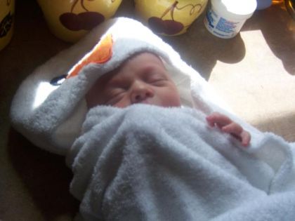 mon ti-loup!!
