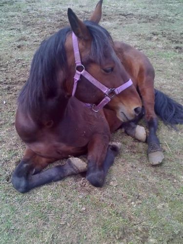 photo par christoune