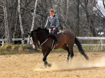 Ca commence à se remplir ce cheval là ! pas facile à 17m3 hahaha