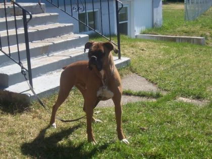mon baby Junior