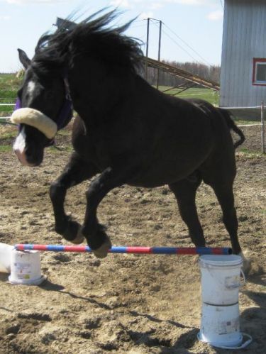Gros Lucky Qui Saute !!!