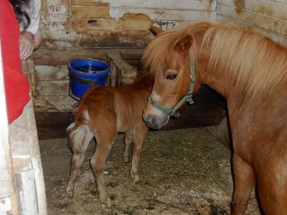 Bébé Stéphanie ! :)