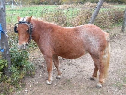 Kandy a l'age de 3 Ans !! =)