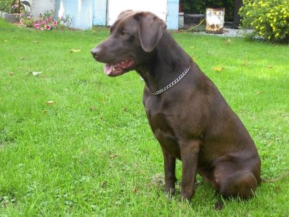 Encor une pik de mon Gros bébé !! =) CHtadoree Cheriie [L]