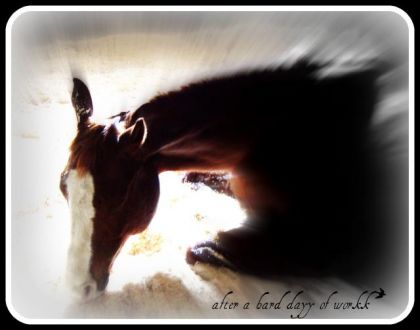 photo par apopo4life