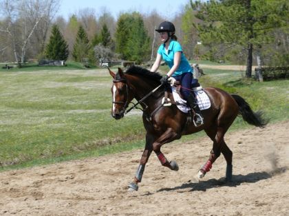 Quoi de mieux qu'un bon galop pour calmer les nerfs de tout le...