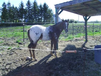 photo par ti-pou le petit Wonder