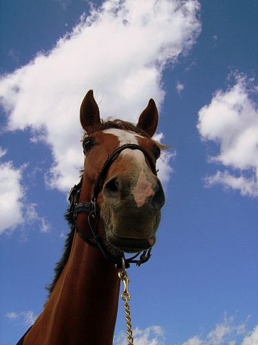 Matante Jolly qui a la tête dans les nuages.....! :)