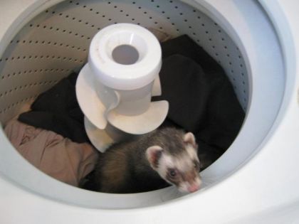 Tien Aujourd'hui C'est A Woushi De Faire Le Lavage Lolll !!!
