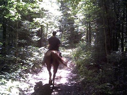 Une petite ballade dans les bois pour faire changement !