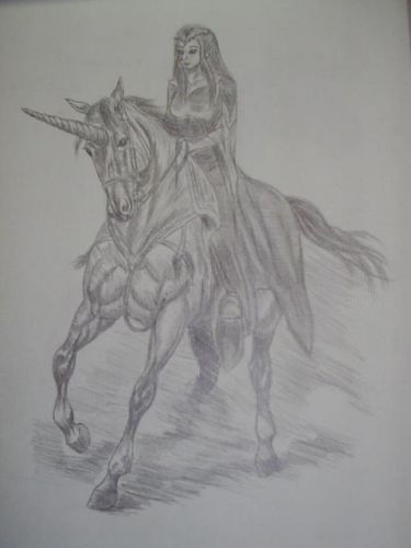 photo par Myhorsez