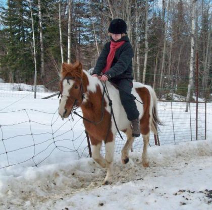 Petit Galop !