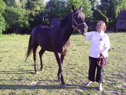 photo par Myhorsez