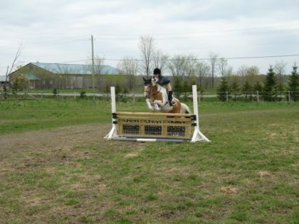 Cours du 2 mai en veston XD Comm ?