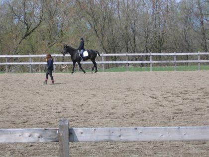 Moi et mon cheval, D'Artagnan