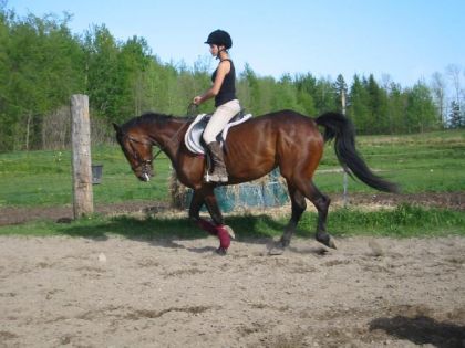 Mia au galop 5 mai 2010