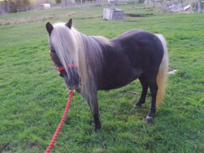 photo par ti-pou voici ma belle Barby