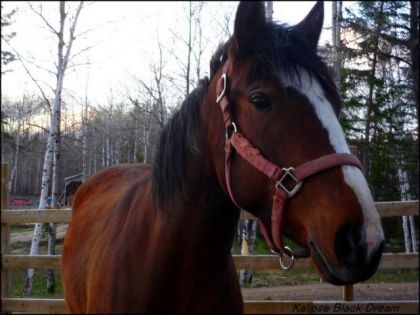 Ma pouliche! 3 ans maintenant