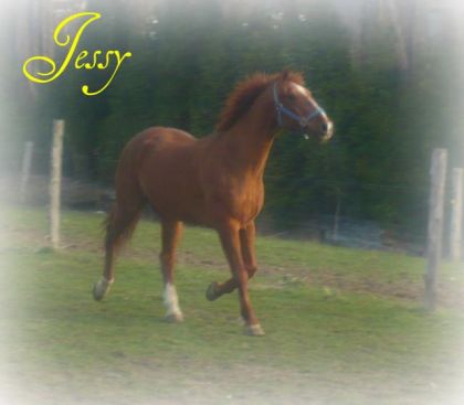 Jessy (Papy crache motte)