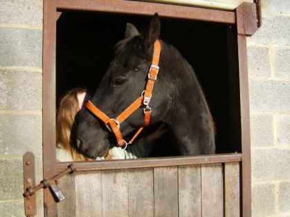 photo par Myhorsez