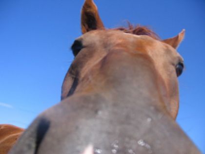 C'était a lui de ne pas toucher l'appareil photo!!!:P!