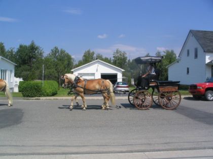 parade weedon 2007