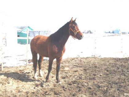 Beau bébé va !!! ma photo préféré de mon Sunshine :D Caline fit...