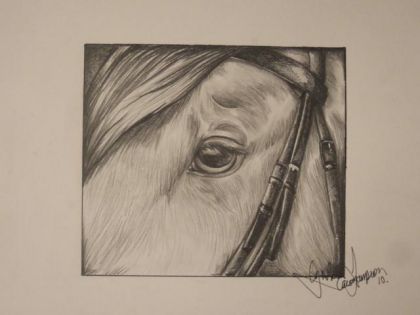 J'avais pas envie de faire le cheval au complet, donc j'ai...