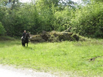 photo par moera10