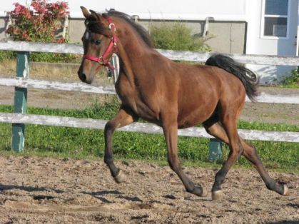 mon bb qui profite du grand air