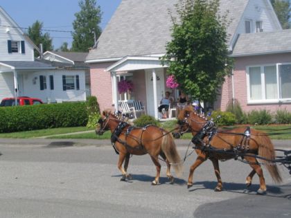 parade weedon ! 2007