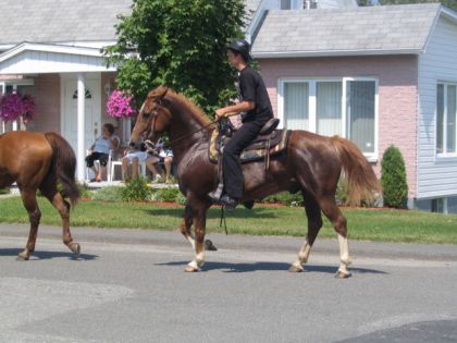 parade weedon ! 2007