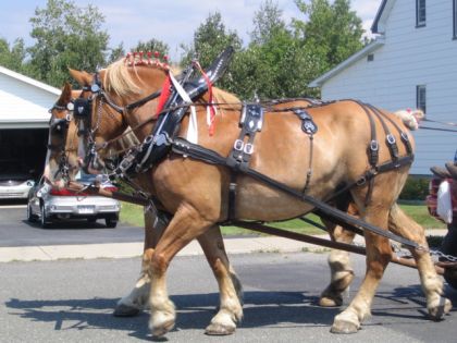 parade weedon ! 2007