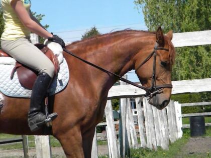 photo par flo94