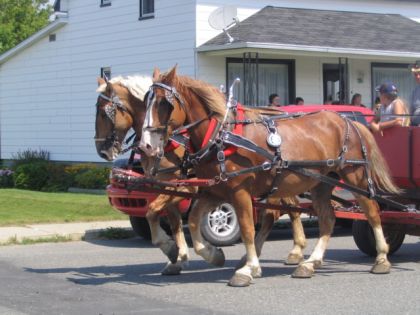 parade weedon ! 2007