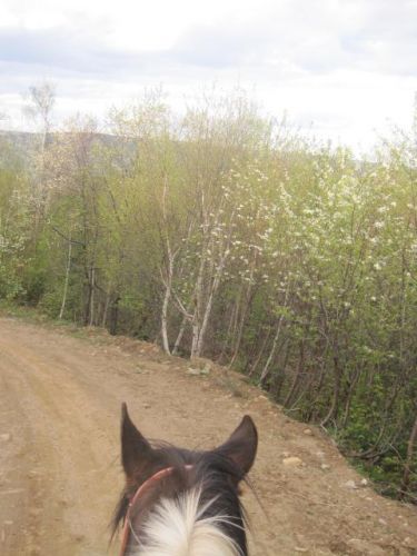 Quelle beu paysages <3