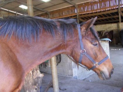 photo par VaVa92 Dixon, 17 ans (il les fait pas, hein ?!)
